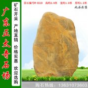 2.9米高園林黃蠟石 刻字造型石 編號W-5519