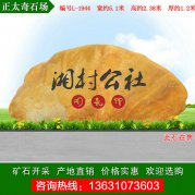 5.1米寬廣東黃蠟石 鄉村公社標志石 編號L-1944