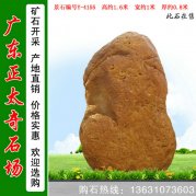  1.6米高廣東黃蠟石 天然刻字石 編號Y-4155