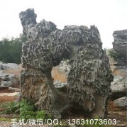 廣東產(chǎn)地太湖石 大規格草坪景觀(guān)石