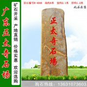 6米高廣東園林黃蠟石 景觀(guān)招牌石 編號R-4848