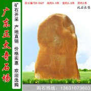 3.3米高景觀(guān)黃蠟石 公園小區擺放石 編號R-1230
