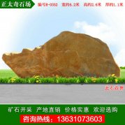 6.2米寬廣東黃蠟石 園林景觀(guān)刻字石 編號R-0352