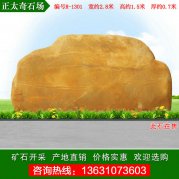 2.8米寬廣東黃蠟石 廣場(chǎng)擺放風(fēng)景石 編號R-1301