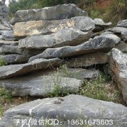 廣東奇特太湖石、用于假山駁岸造景石-太湖石