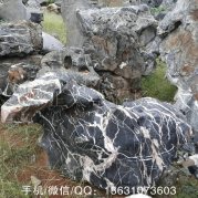 駁岸假山太湖石、造景奇石首選太湖石