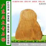 2.6米高廣東黃蠟石 廠(chǎng)家批發(fā)刻字石 編號A5-2802