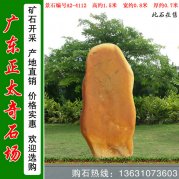 1.5米高小規格黃蠟石 村口標志石 編號A2-4112