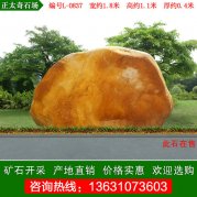1.8米寬廣東黃蠟石 園林景觀(guān)石 編號L-0837