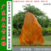  2.6米高園林黃蠟石 供應廣場(chǎng)風(fēng)景石 編號A6-0916