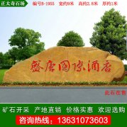 9米寬廣東黃蠟石 大型酒店景區招牌石 編號B-19