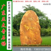 2.8米高園林黃蠟石 村口標志石 編號M-3022