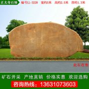  5米寬廣東黃蠟石 園林景觀(guān)石 編號LL-3228