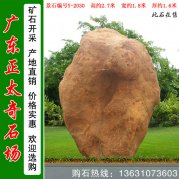 2.7米高立石 天然黃蠟石 鎮宅黃蠟石 編號Y-2030
