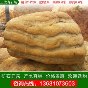 1米寬廣東黃蠟石 造型石 觀(guān)賞石 編號Y-4750