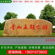 6.5米廣東黃蠟石  公園景區刻字石 編號Y-3855