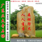 4米高廣東黃蠟石 園林景觀(guān)石 編號F2-3013