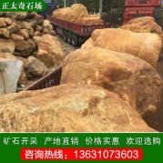 廣東產(chǎn)地大規格黃蠟石發(fā)往河北地區做駁岸點(diǎn)景