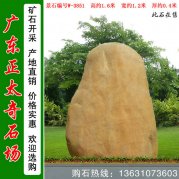 1.6米高園林黃蠟石 公園草地景觀(guān)石 編號W-3851