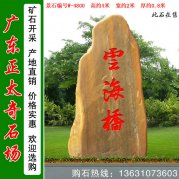 4米高廣東黃蠟石 園林景觀(guān)石 編號W-4800