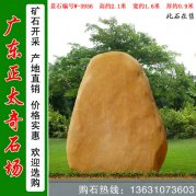 2.1米高廣東黃蠟石 風(fēng)景石 編號W-3936