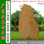 3.3米高產(chǎn)地黃蠟石 園林景觀(guān)石 編號W-3750