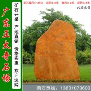 3.2米高園林黃蠟石 景觀(guān)立石 編號C-2540