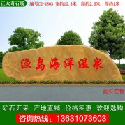  10.3米廣東大型黃蠟石 刻字景觀(guān)石 編號C2-4803