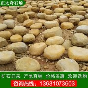  產(chǎn)地直銷(xiāo)黃蠟石 打磨平面石 凳子石 景區休閑石