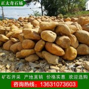  大量高檔小規格黃蠟石 園林裝飾石（黃蠟石）