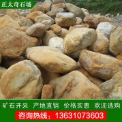  產(chǎn)地開(kāi)采直銷(xiāo)河灘石 黃蠟石 園林造景裝飾景石
