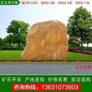 2.8米寬 中小型黃蠟石 村口景觀(guān)石 編號W-5126