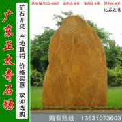5.8米高 廣東黃蠟石  景觀(guān)刻字石 編號C2-0807
