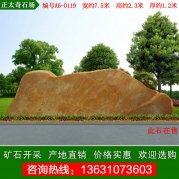 7.5米寬廣東黃蠟石 景觀(guān)石 編號A6-0119