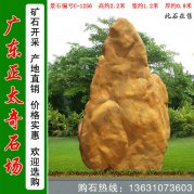  2.2米高 天然黃蠟石 草坪點(diǎn)綴造景石 編號C-1256