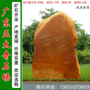  1.7米高產(chǎn)地黃蠟石 政府激勵刻字石 編號Y2-5505