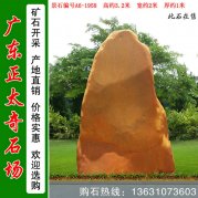 3.2米高黃蠟石 小區擺放景觀(guān)石 編號A6-1958
