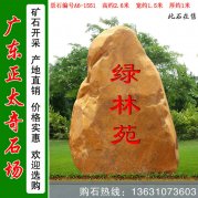  2.6米高小區黃蠟石黃蠟石低價(jià)格 編號A6-1551