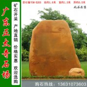  1.6米高 小區刻字黃蠟石 景觀(guān)石 編號M-5203
