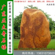  1.8米高立石園林點(diǎn)綴景觀(guān)黃蠟石 編號M-5117