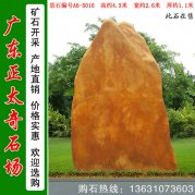  4.3米 校園刻字文化石 景觀(guān)黃蠟石 編號A6-5016