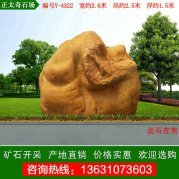  2.6米寬 形狀奇特景觀(guān)石點(diǎn)綴黃蠟石 編號Y-4750