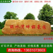  7.9米寬大型黃蠟石 地產(chǎn)刻字景觀(guān)石 編號A6-4319