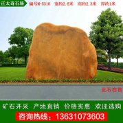  2.6米寬中小規格刻字黃蠟石景觀(guān)石 編號M-5310