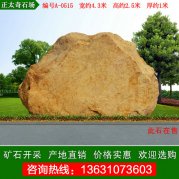 4.3米寬黃蠟石 景區刻字文化石 編號A-0515