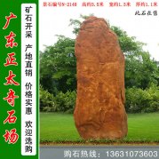  3.5米高草坪點(diǎn)綴景觀(guān)黃蠟石 編號N-2148