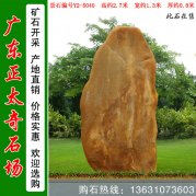  2.7米寬景觀(guān)黃蠟石 校園文化石 編號Y2-5040