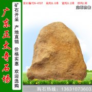 3.5米高招牌主題雄偉超大題名景觀(guān)石 編號N-4737