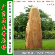  3.5米高廣東黃蠟石 入口刻字標志石 編號Y-1617