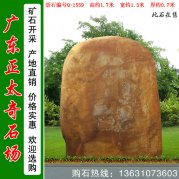  1.7米高產(chǎn)地黃蠟石價(jià)格 園林景觀(guān)石 編號Q-1559